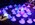 737 IMG_0529_0011-1024x682