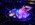 737 IMG_0530_0011-1024x682
