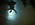 737 MG_0561_0011-1024x682