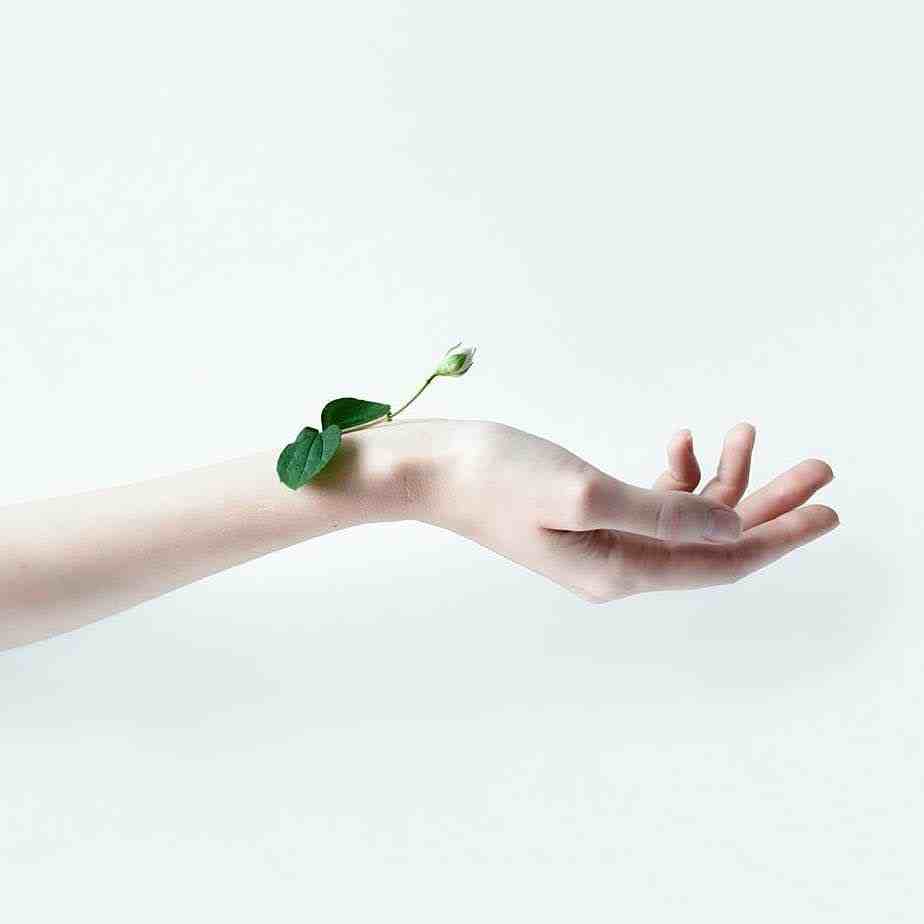 [SON SÖZÜ: AŞK OLDU]