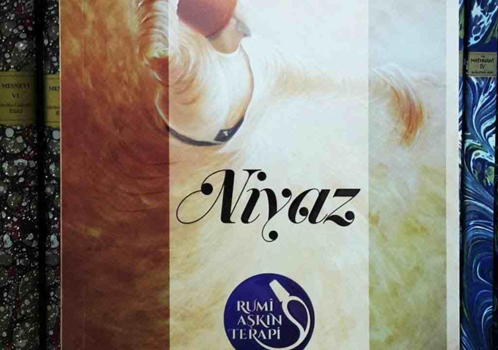 Faik Özdengül, Rumi Aşkın Terapi, 15