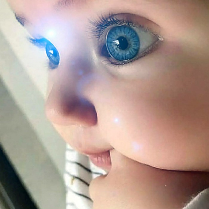 Derviş dilinde terbiye