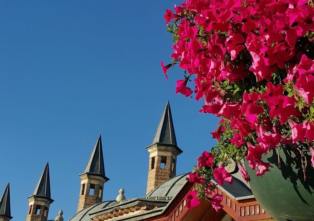 Faik Özdengül, Rumi Aşkın Terapi, 69