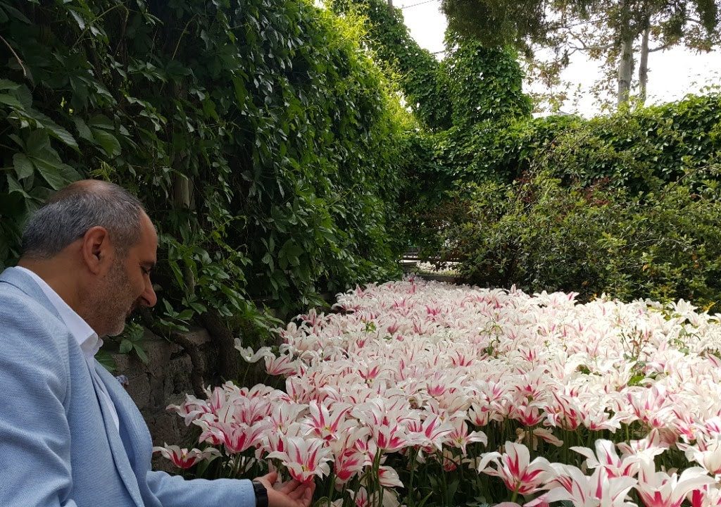 Faik Özdengül, Rumi Aşkın Terapi, 50