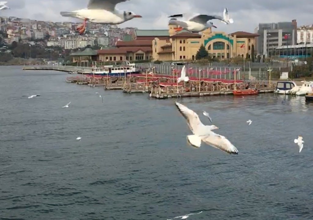 Faik Özdengül, Rumi Aşkın Terapi, 95