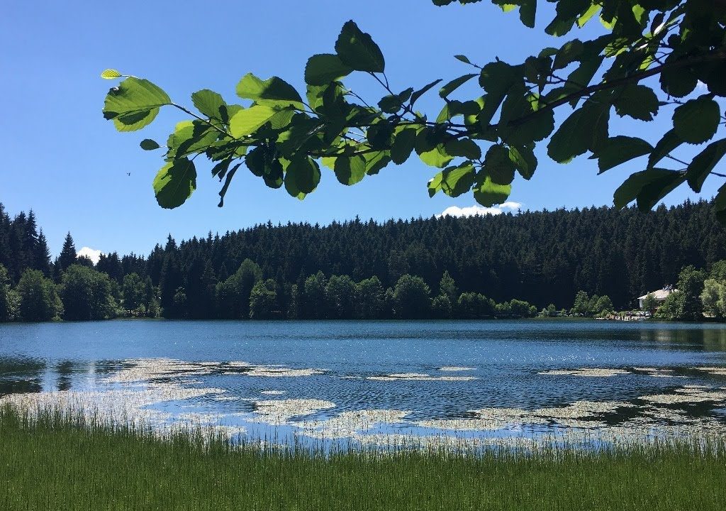 Faik Özdengül, Rumi Aşkın Terapi, 99