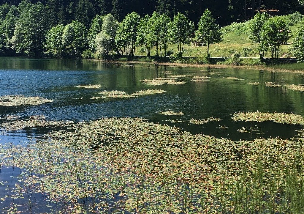 Faik Özdengül, Rumi Aşkın Terapi 107