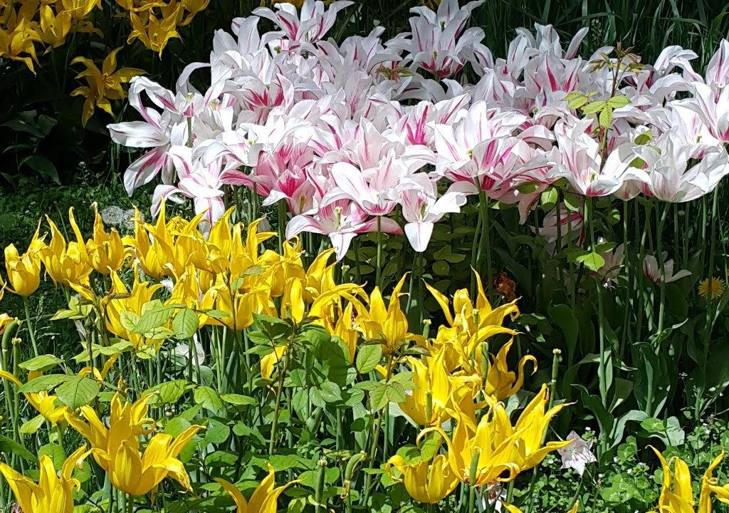 Faik Özdengül, Rumi Aşkın Terapi, 139