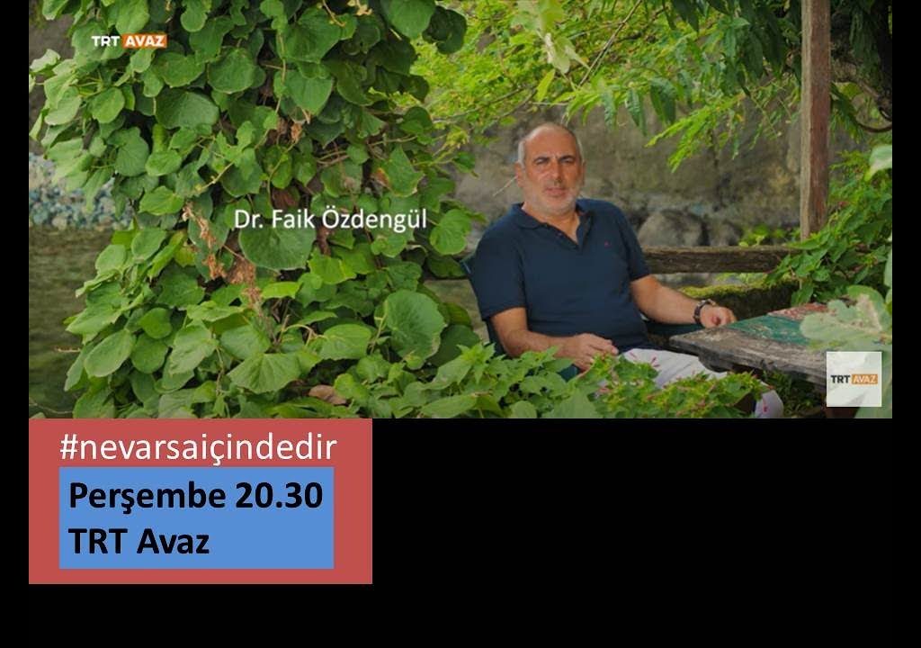 Faik Özdengül, Rumi Aşkın Terapi, 179