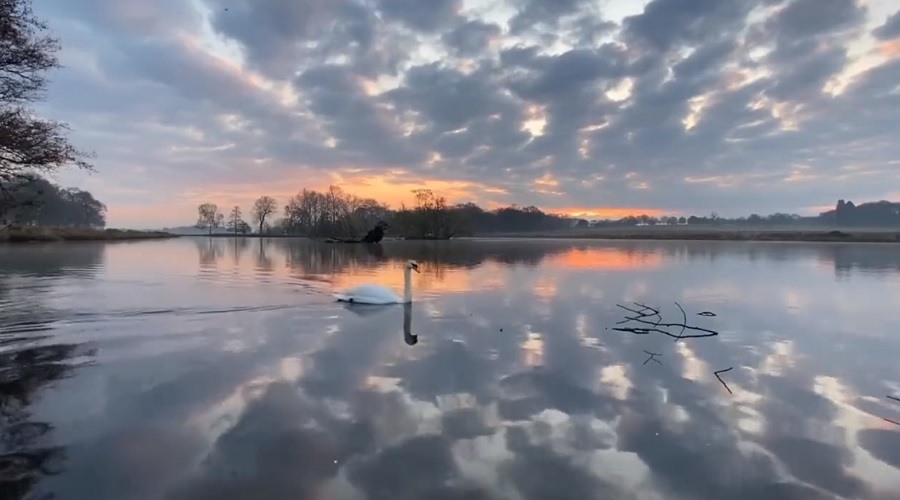 [DİVÂN-I AŞK’TAN BİR VARAK]